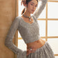 Smoke Grey Heavy Embroidered Net Lehenga Choli With Dupatta