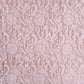 Baby Pink Noor Full Jaal Hand Embroidered Lucknowi Chikankari Saree