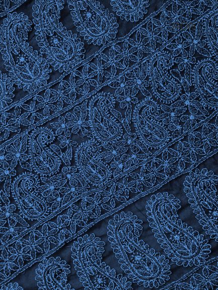 Navy Blue Noor Full Jaal Hand Embroidered Lucknowi Chikankari Saree