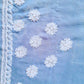 Powder Blue Noor Full Jaal Hand Embroidered Lucknowi Chikankari Saree