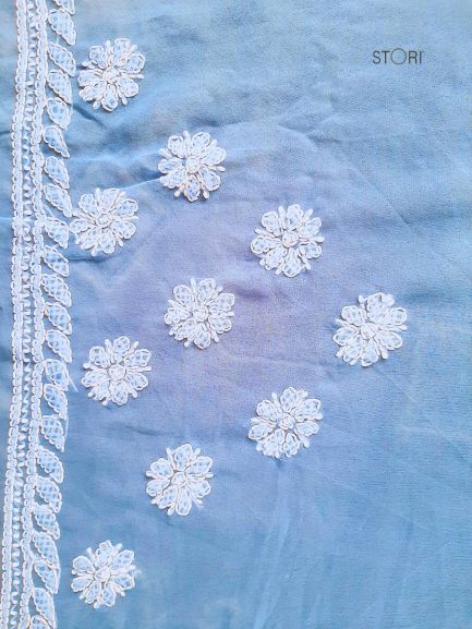 Powder Blue Noor Full Jaal Hand Embroidered Lucknowi Chikankari Saree