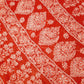 Red Noor Full Jaal Hand Embroidered Lucknowi Chikankari Saree