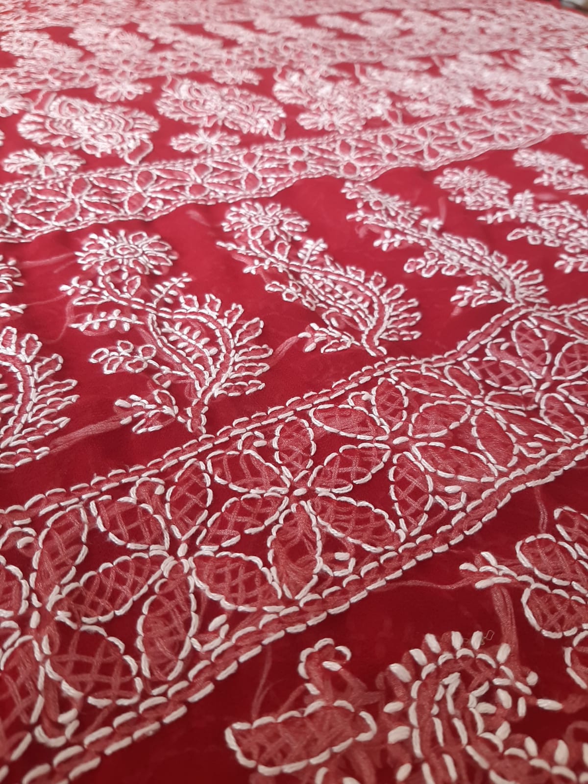 Deep Red Noor Full Jaal Hand Embroidered Lucknowi Chikankari Saree