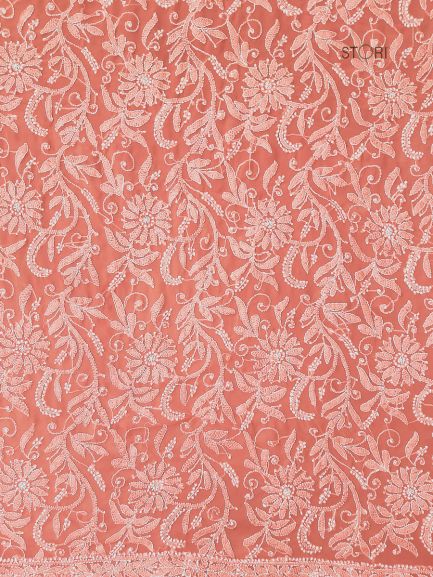 Carrot Pink Noor Full Jaal Hand Embroidered Lucknowi Chikankari Saree