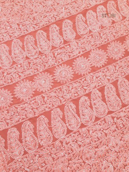 Carrot Pink Noor Full Jaal Hand Embroidered Lucknowi Chikankari Saree