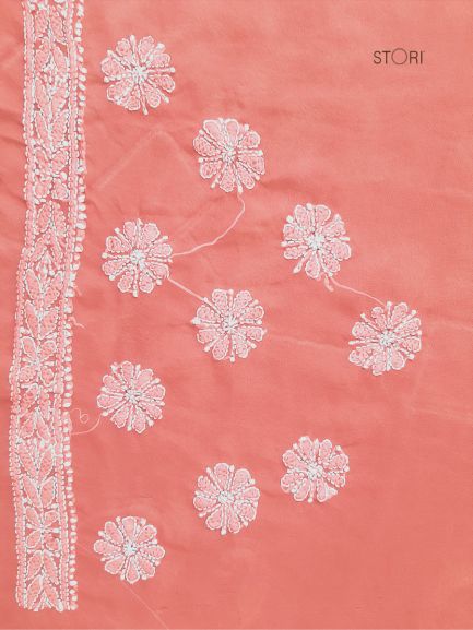 Carrot Pink Noor Full Jaal Hand Embroidered Lucknowi Chikankari Saree