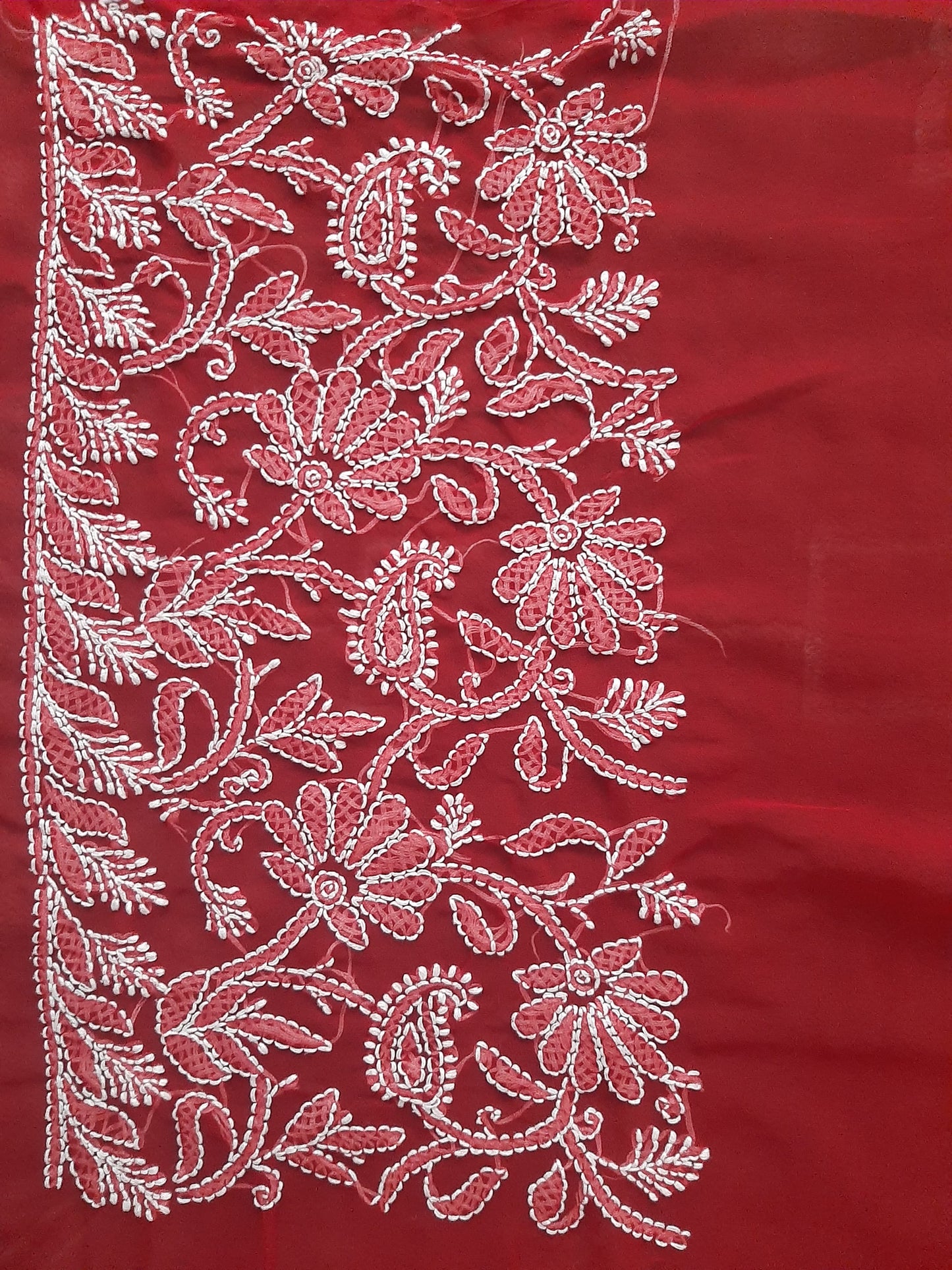 Bridal Red Noor Full Jaal Hand Embroidered Lucknowi Chikankari Saree