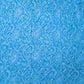 Sky Blue Full Jaal Hand Embroidered Lucknowi Chikankari Saree