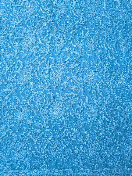 Sky Blue Full Jaal Hand Embroidered Lucknowi Chikankari Saree