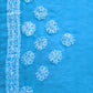 Sky Blue Full Jaal Hand Embroidered Lucknowi Chikankari Saree