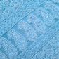 Sky Blue Full Jaal Hand Embroidered Lucknowi Chikankari Saree