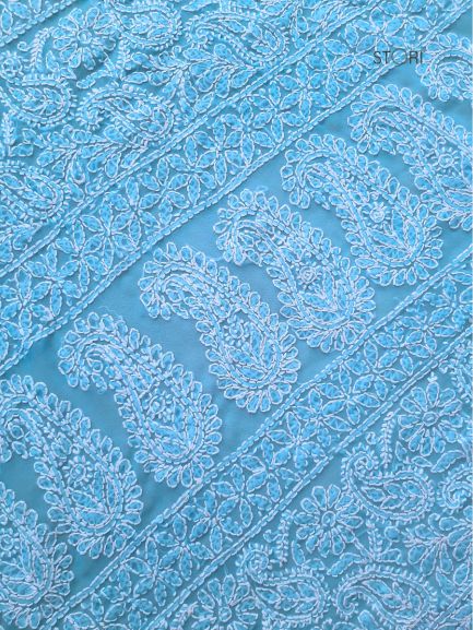 Sky Blue Full Jaal Hand Embroidered Lucknowi Chikankari Saree