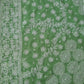 Fern Green Surya Hand Embroidered Lucknowi Chikankari Saree