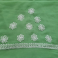 Fern Green Surya Hand Embroidered Lucknowi Chikankari Saree