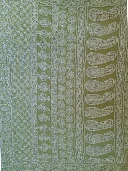 Pista Green Adah Half Jaal Hand Embroidered Lucknowi Chikankari Saree