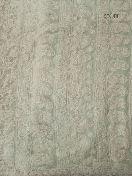 Mint Green Noor Full Jaal Hand Embroidered Lucknowi Chikankari Saree