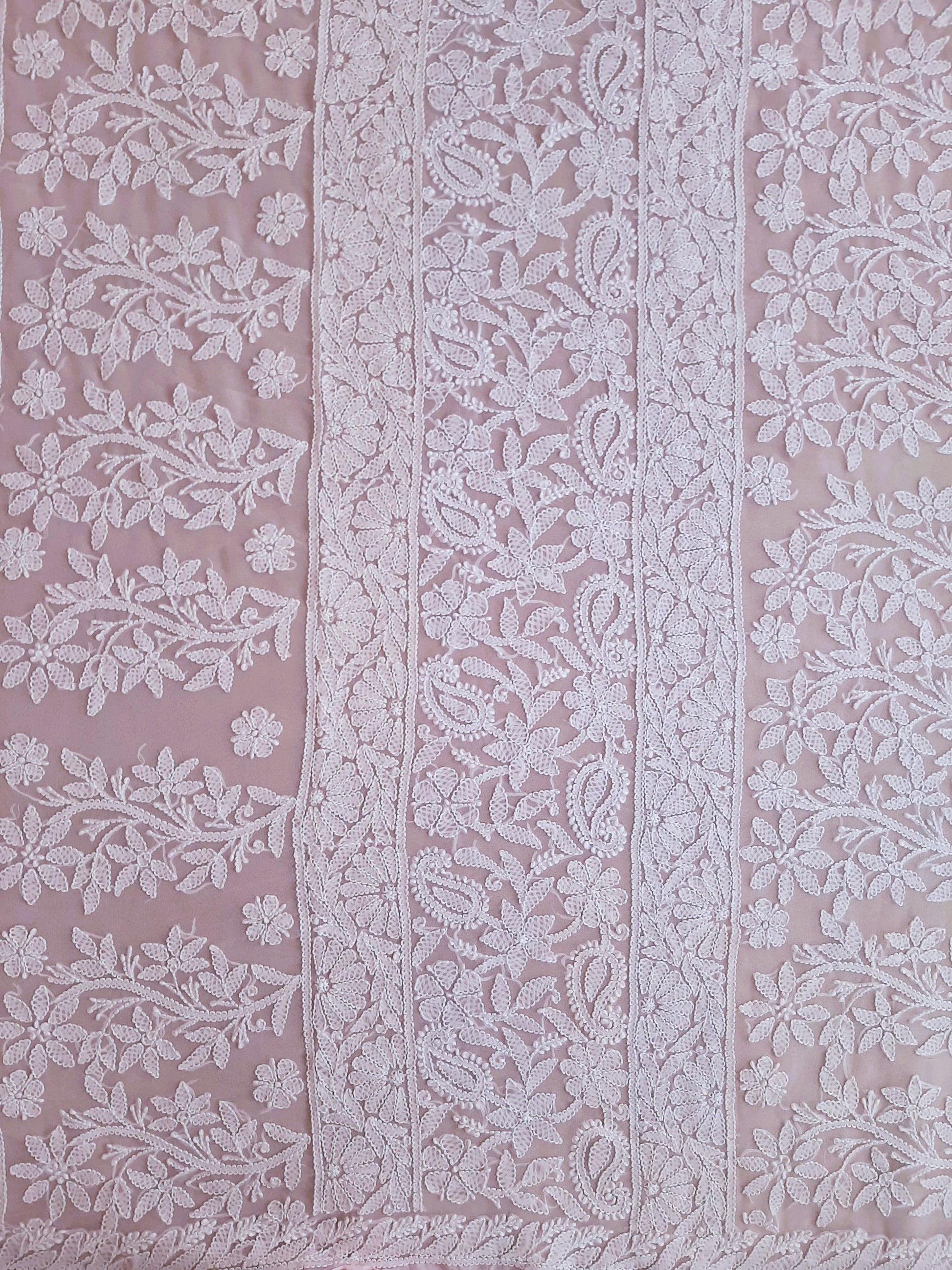 Baby Pink Noor Full Jaal Hand Embroidered Lucknowi Chikankari Saree