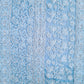 Powder Blue Noor Full Jaal Hand Embroidered Lucknowi Chikankari Saree