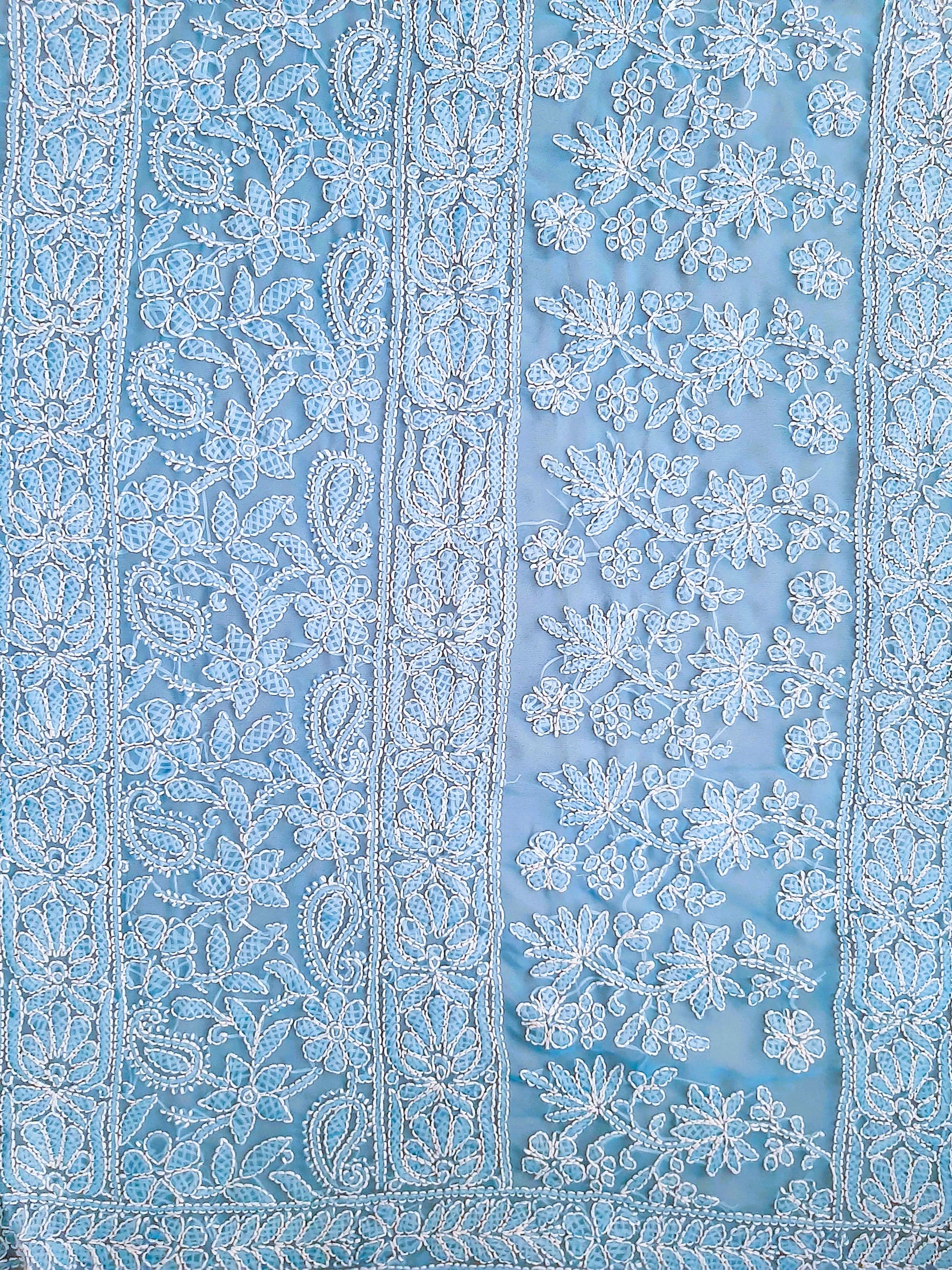 Powder Blue Noor Full Jaal Hand Embroidered Lucknowi Chikankari Saree