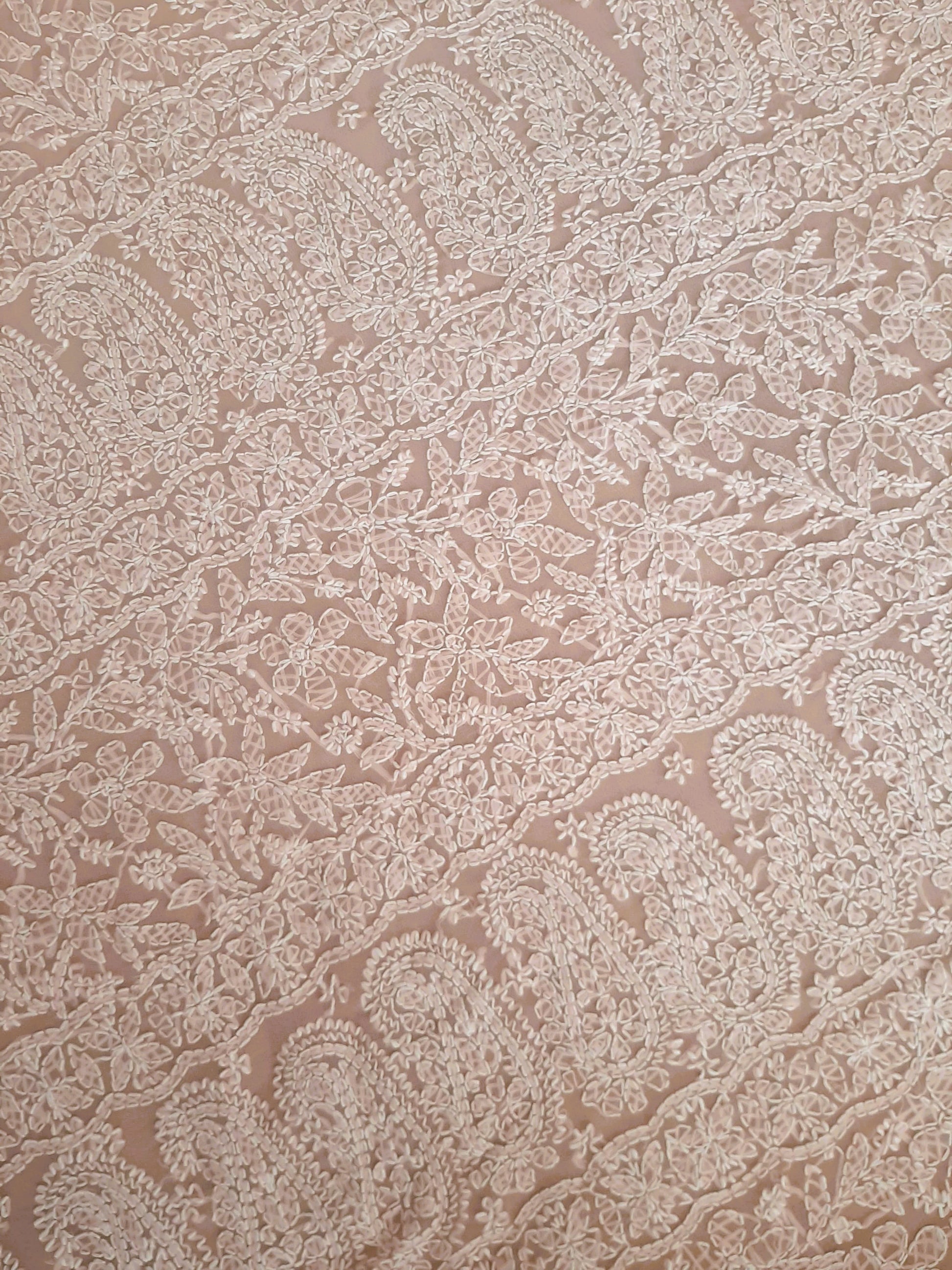 Peach Noor Full Jaal Hand Embroidered Lucknowi Chikankari Saree