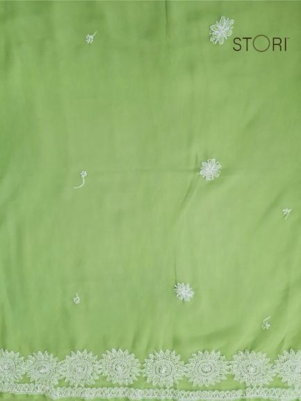 Pista Green Surya Hand Embroidered Lucknowi Chikankari Saree