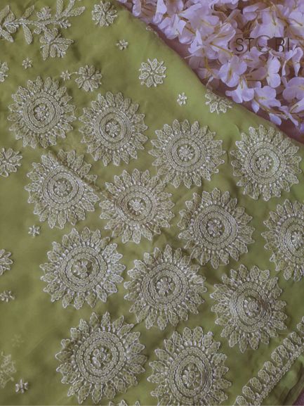 Pista Green Surya Hand Embroidered Lucknowi Chikankari Saree