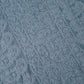 Powder Blue Noor Full Jaal Hand Embroidered Lucknowi Chikankari Saree