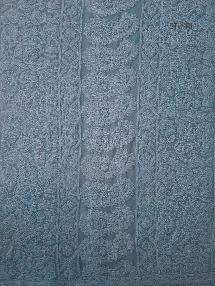 Powder Blue Noor Full Jaal Hand Embroidered Lucknowi Chikankari Saree