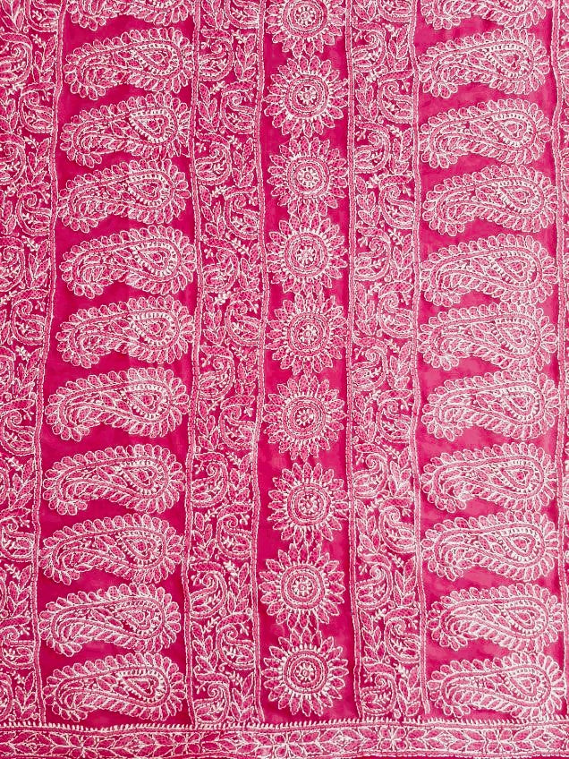 Rani Pink Noor Full Jaal Hand Embroidered Lucknowi Chikankari Saree