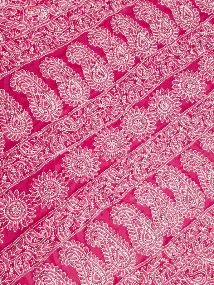 Rani Pink Noor Full Jaal Hand Embroidered Lucknowi Chikankari Saree