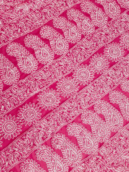 Rani Pink Noor Full Jaal Hand Embroidered Lucknowi Chikankari Saree