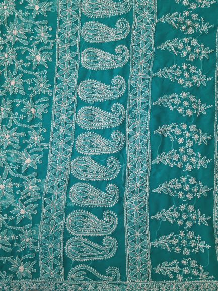 Rama Green Noor Full Jaal Hand Embroidered Lucknowi Chikankari Saree