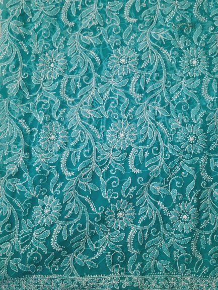 Rama Green Noor Full Jaal Hand Embroidered Lucknowi Chikankari Saree