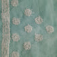 Seagreen Noor Full Jaal Hand Embroidered Lucknowi Chikankari Saree