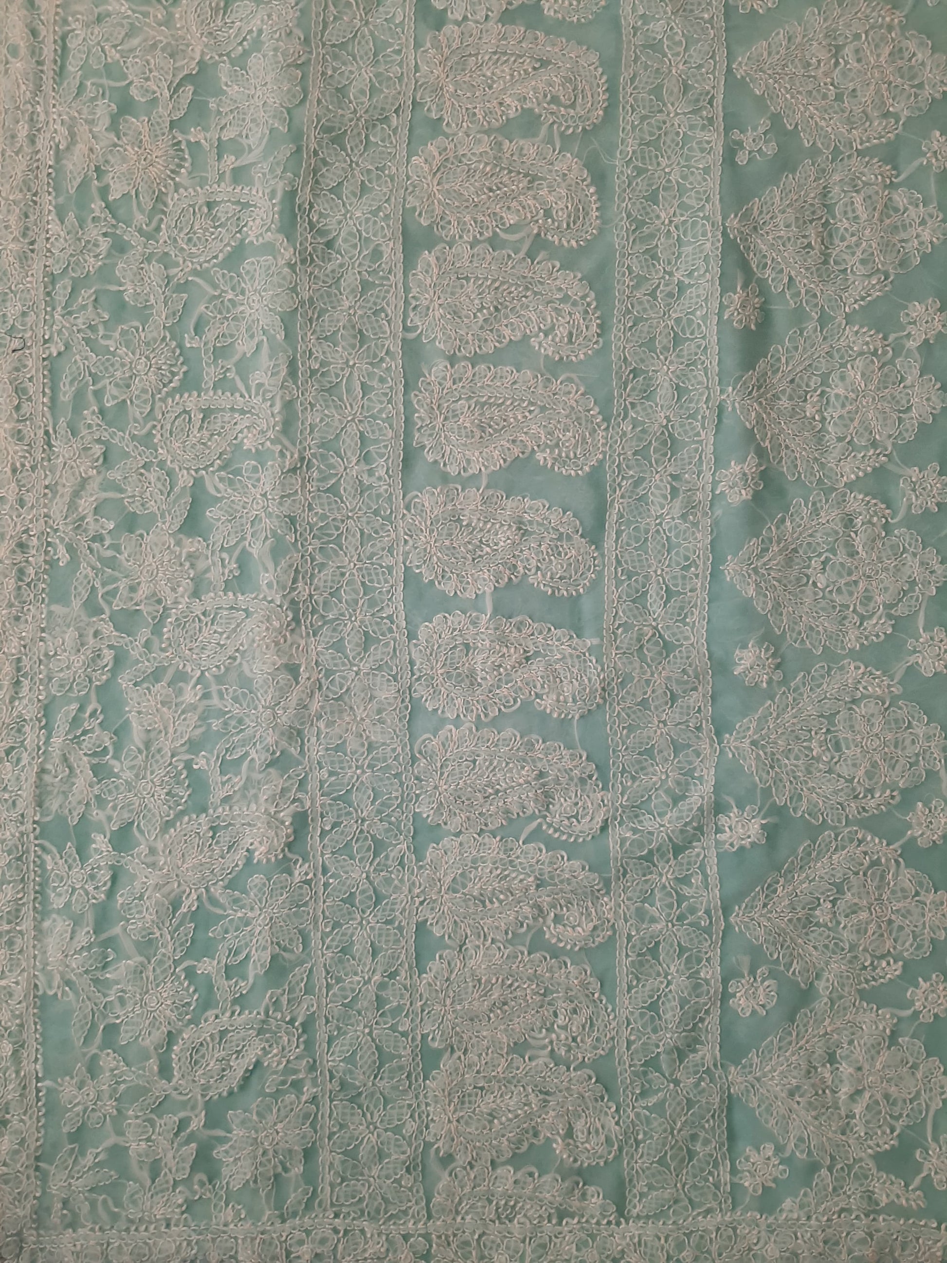 Seagreen Noor Full Jaal Hand Embroidered Lucknowi Chikankari Saree