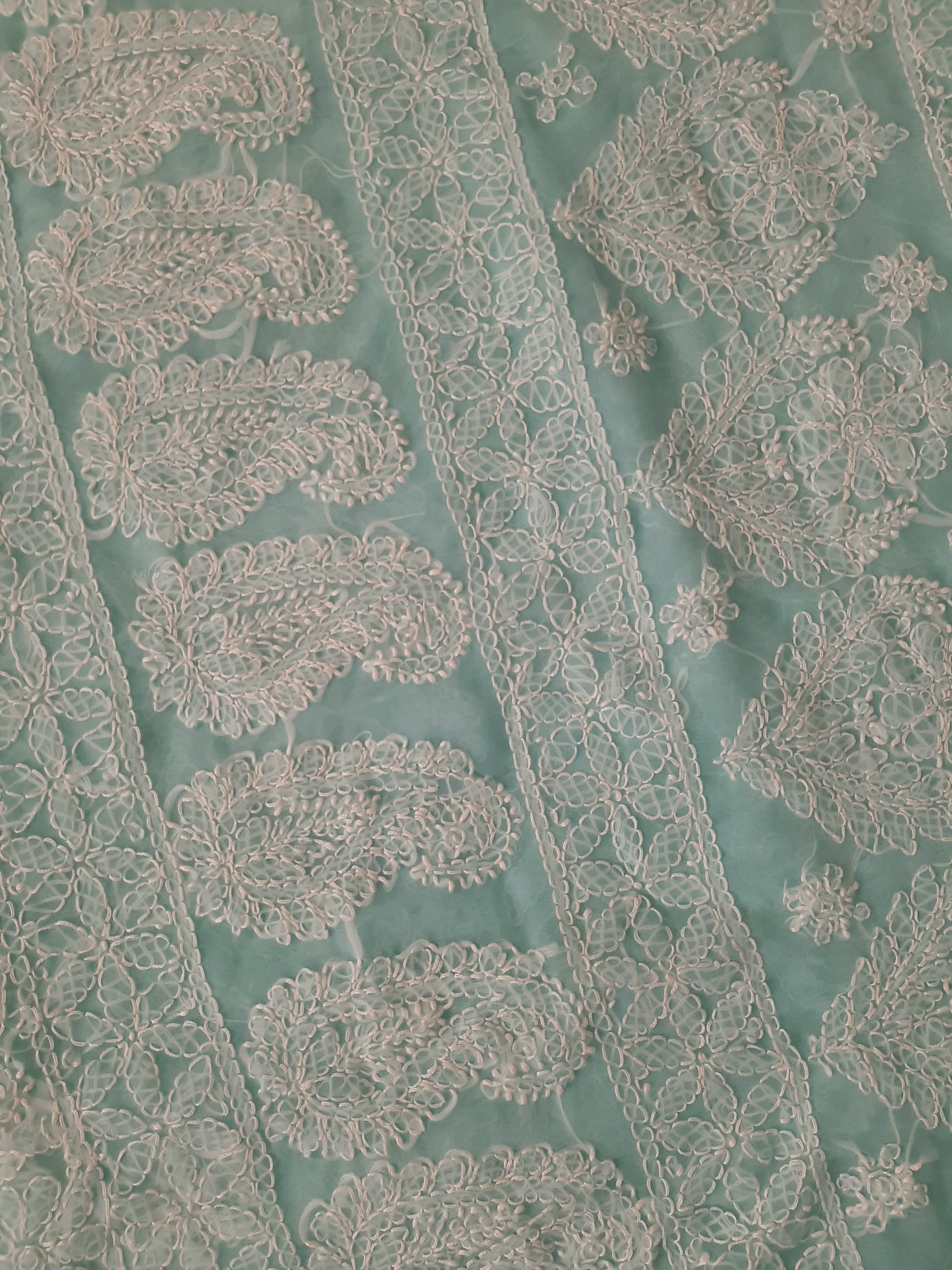 Seagreen Noor Full Jaal Hand Embroidered Lucknowi Chikankari Saree