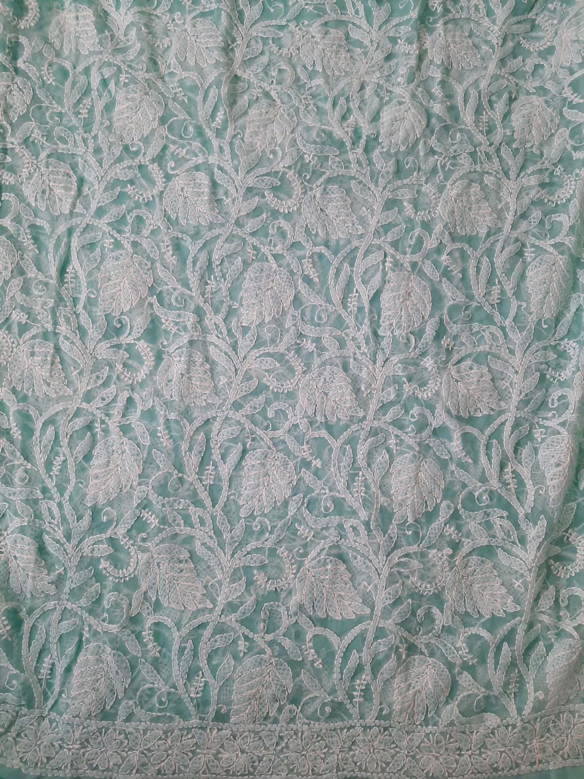 Seagreen Noor Full Jaal Hand Embroidered Lucknowi Chikankari Saree