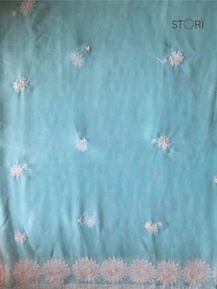 Sky Blue Surya Hand Embroidered Lucknowi Chikankari Saree