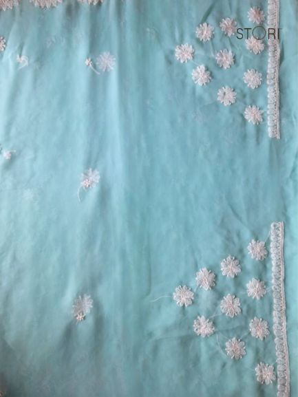 Sky Blue Surya Hand Embroidered Lucknowi Chikankari Saree