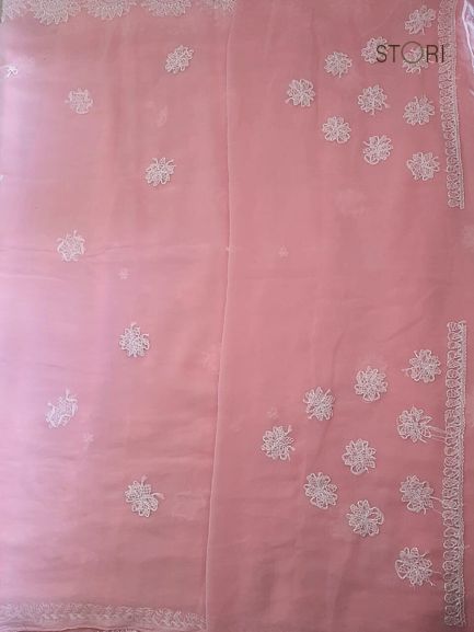 Peach Surya Hand Embroidered Lucknowi Chikankari Saree