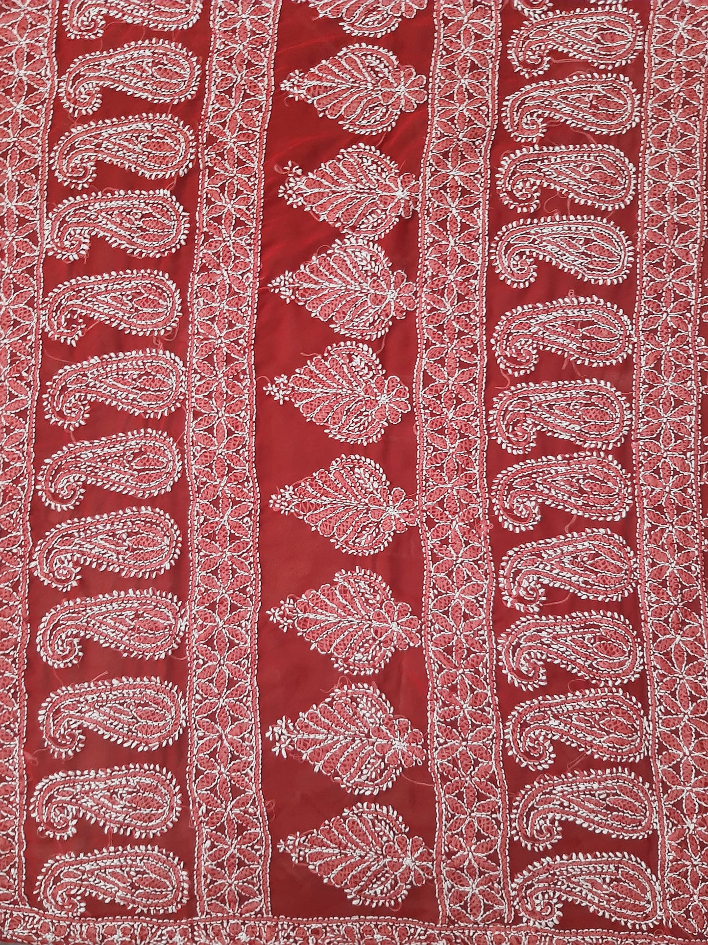 Red Noor Full Jaal Hand Embroidered Lucknowi Chikankari Saree