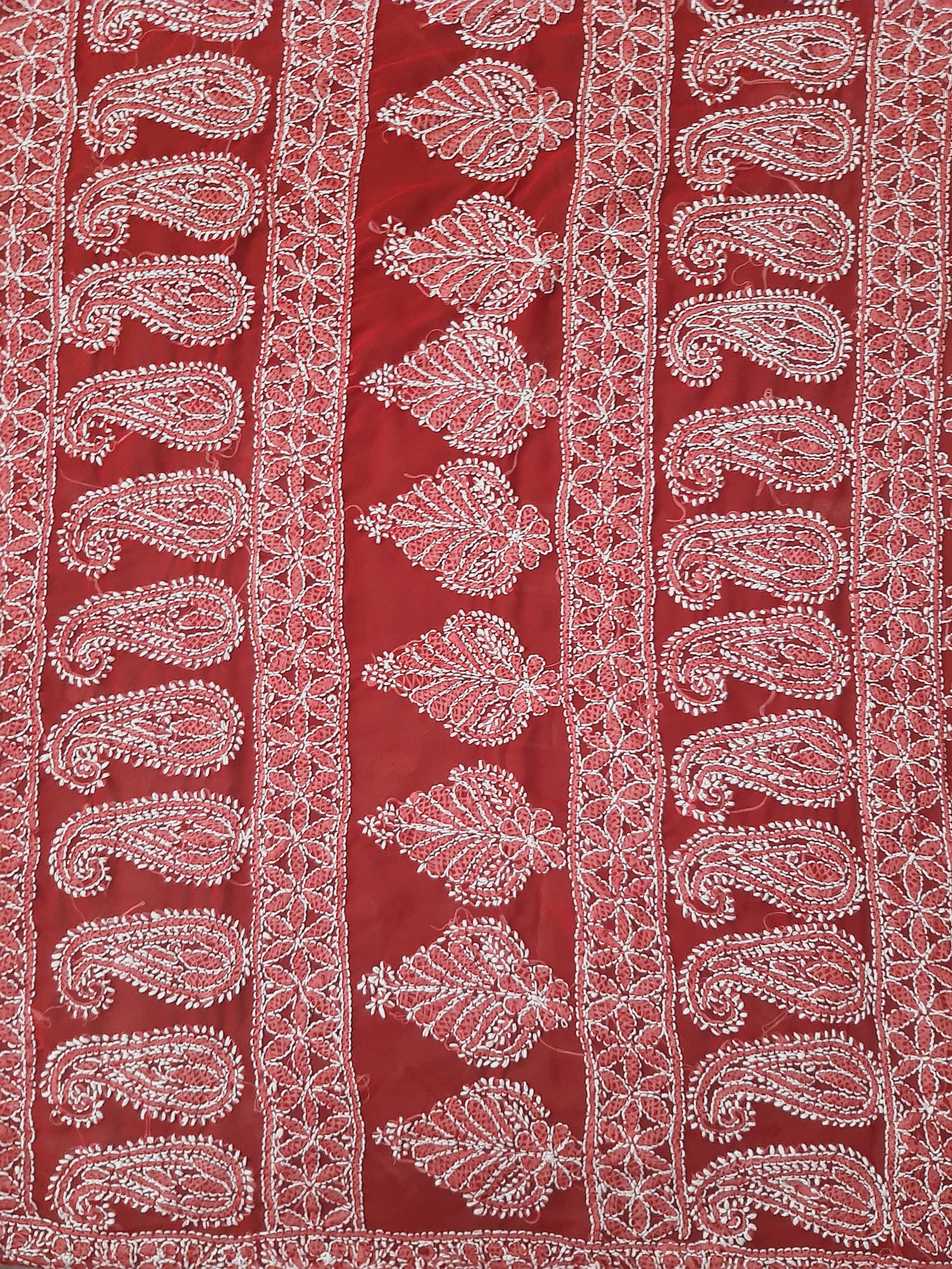 Red Noor Full Jaal Hand Embroidered Lucknowi Chikankari Saree