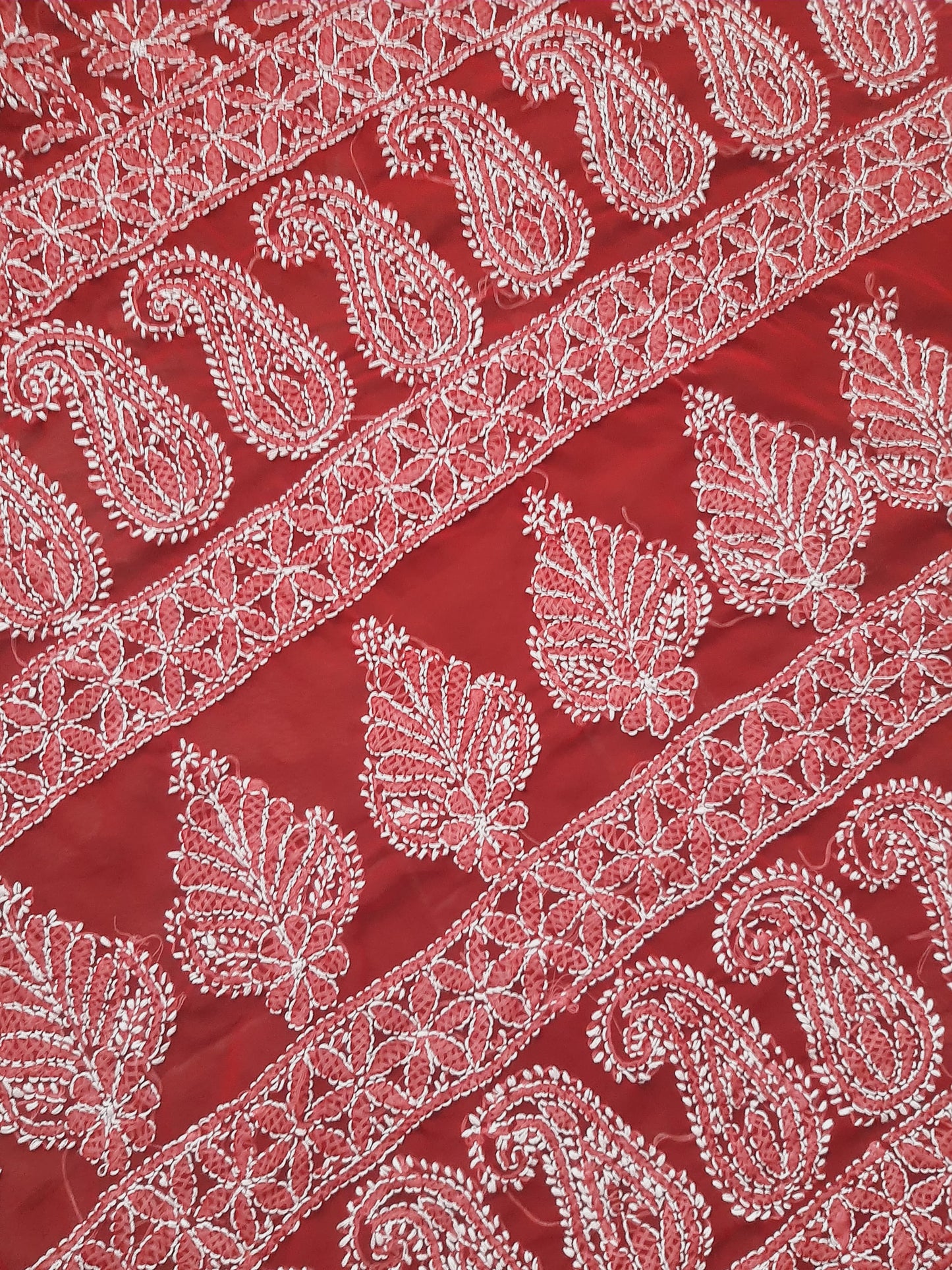 Red Noor Full Jaal Hand Embroidered Lucknowi Chikankari Saree