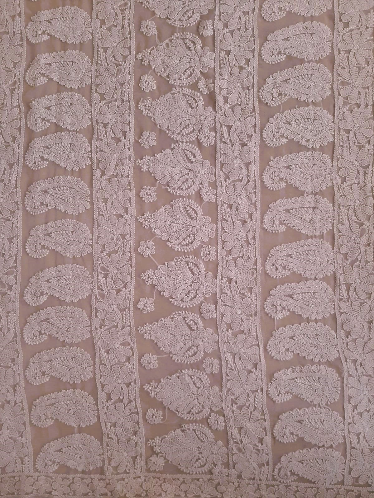 Baby Pink Noor Full Jaal Hand Embroidered Lucknowi Chikankari Saree