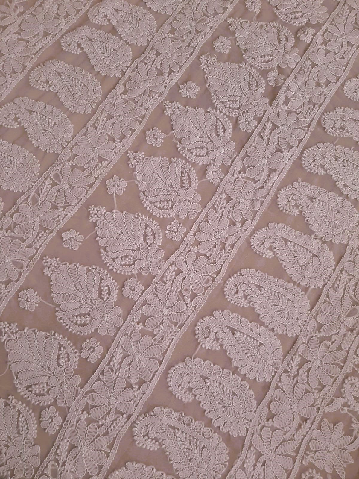 Baby Pink Noor Full Jaal Hand Embroidered Lucknowi Chikankari Saree