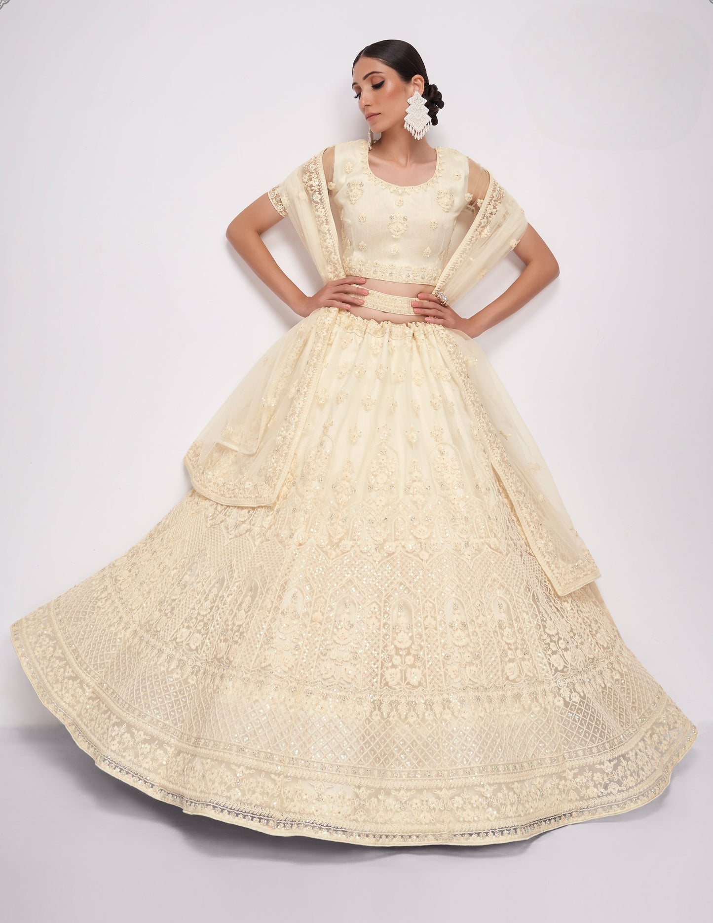 Ivory White Embroidered Net Lehenga