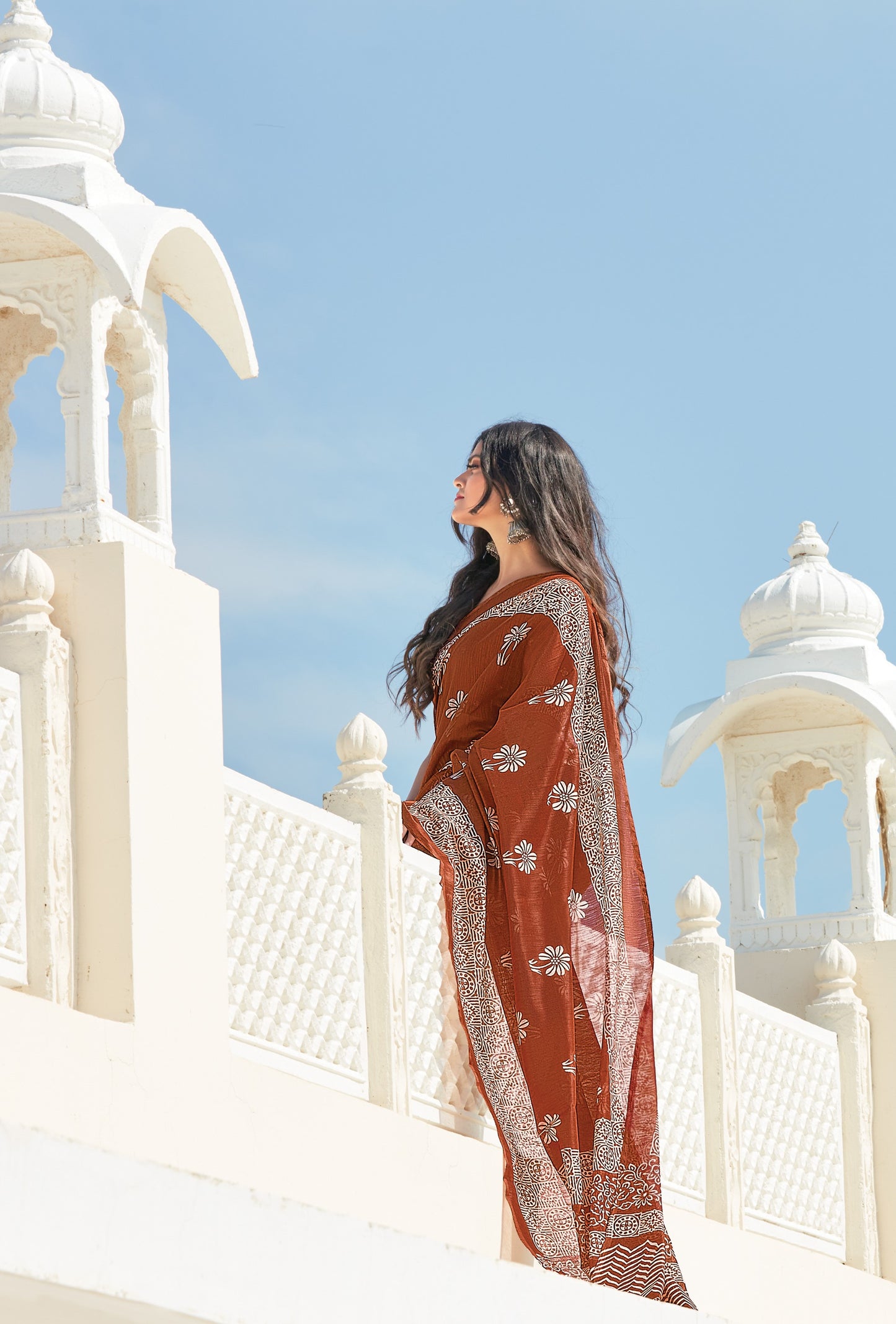 Brick Brown Printed Handloom Cotton Saree