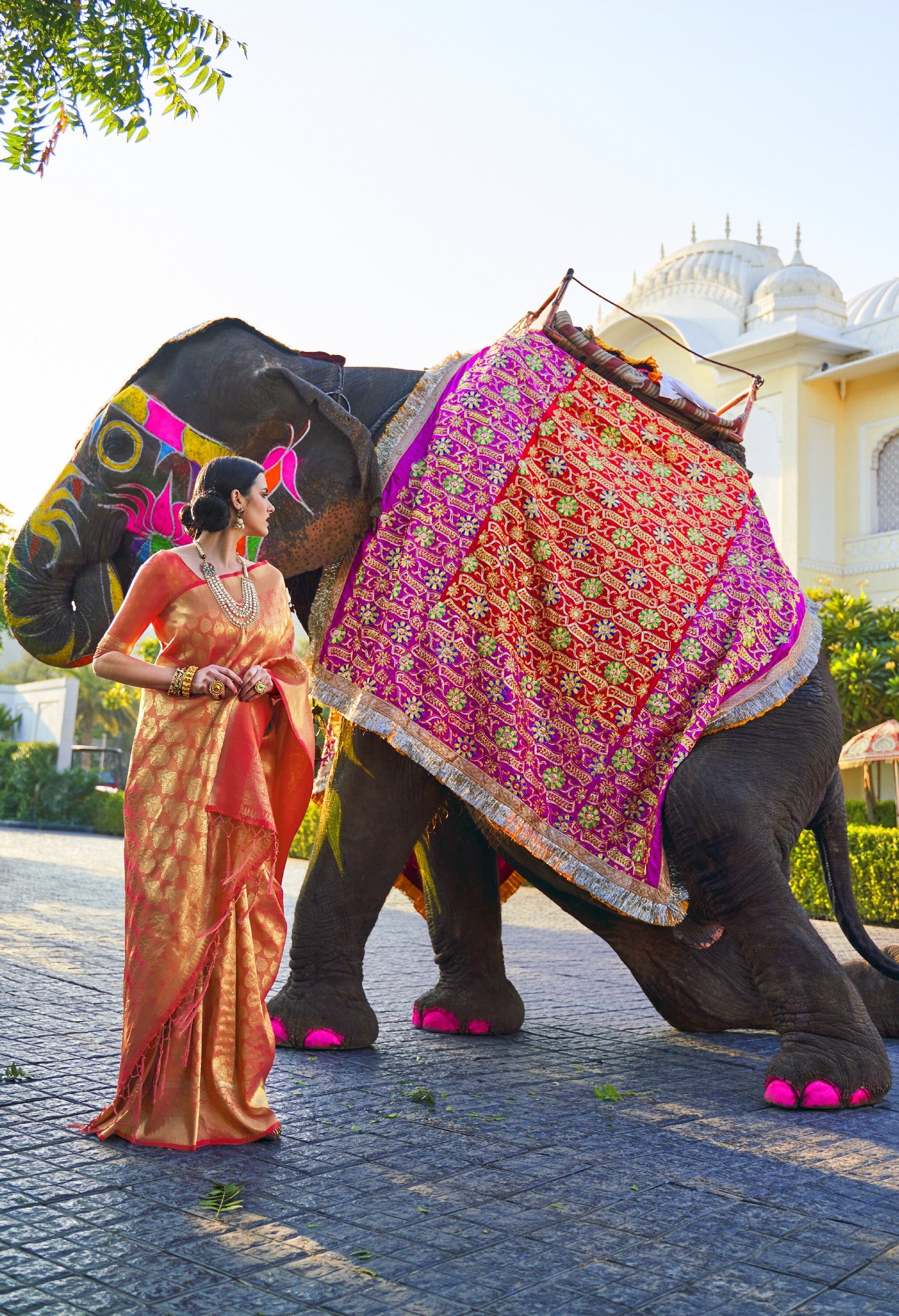 Persian Red Kanjivaram Silk Saree