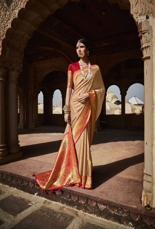 Fawn Brown Silk Saree With Designer Blouse