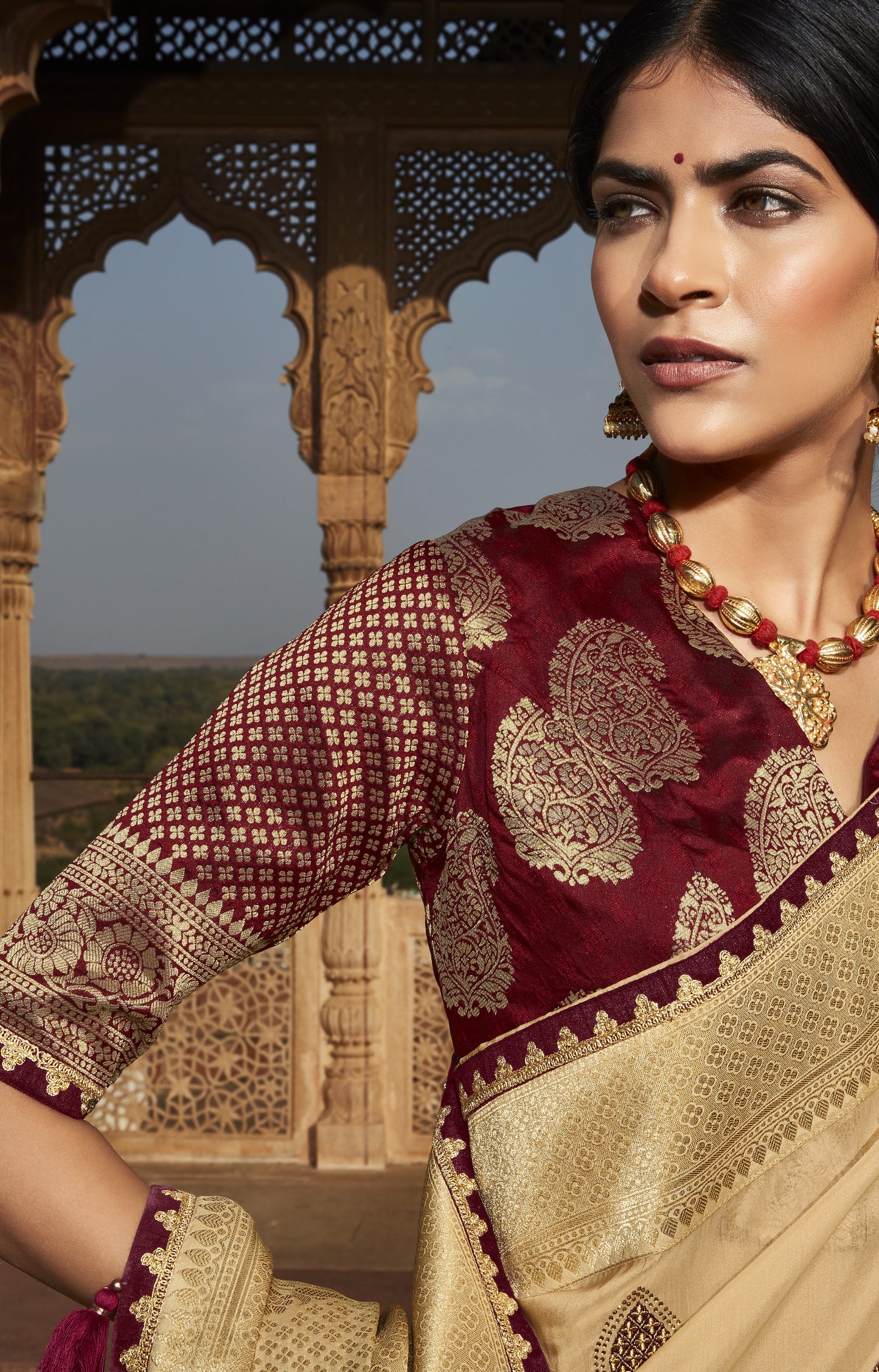 Golden Brown Silk Saree With Designer Blouse